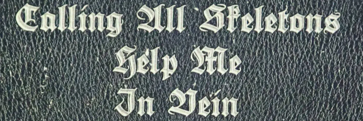 fonts