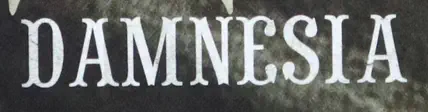 fonts