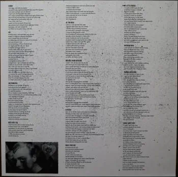 <u>PRESSING INFO</u><br><table class=inf_press><tbody><tr class=inf_info><td class=inf_title>Album:</td><td class=inf_info> Goddamnit Redux on Pinwheel 'Red & Black'  </td></tr>
    <td class=inf_title>Pressing:</td><td> Nineteenth Pressing /1000  </td></tr>
    <td class=inf_title>Release Date:</td><td> July 2022  </td></tr>
    <td class=inf_title>Album Pressed:</td><td> 2022  </td></tr>
    <td class=inf_title>Label:</td><td> Asianman Records AM-160  </td></tr>
    <td class=inf_title>Insert:</td><td> Double Sided Glossy  </td></tr>
    <td class=inf_title>Barcode:</td><td> 6 12851-01601 9  </td></tr>
    <td class=inf_title>Side A Matrix:</td><td> PIRATES PRESS - AM 034 A 182022E1/B  </td></tr>
    <td class=inf_title>Side B Matrix:</td><td> PIRATES PRESS - AM 034 B 182022E2/A  </td></tr>
    <td class=inf_title>&nbsp;</td><td> <a href=https://www.discogs.com/release/24047888-Alkaline-Trio-Goddamnit target=_blank rel=noopener noreferrer>View This Release on Discogs</a>  </tr></tbody></table>
<br><u>PRICING</u><span class='less' style='padding-left: 8px; color: var(--font-colour_grey);'>(prices shown in USD)</span><br><table class='inf_press'><tbody><tr class='inf_info'>
            <td class='inf_title'>Last Sold:</td>
            <td>$32.00 (May 9, 2026)</td>
            </tr><tr class='inf_info'>
            <td class='inf_title'>History:</td>
            <td>
                <span class='price-low' title='Sold on May 23, 2024'>Low: <span class='price-value'>$15.00</span></span>
                <span class='price-separator'>|</span>
                <span class='price-avg'>Avg: <span class='price-value'>$29.70</span></span>
                <span class='price-separator'>|</span>
                <span class='price-high' title='Sold on Dec 30, 2023'>High: <span class='price-value'>$35.99</span></span>
            </td>
            </tr></tbody></table><br>    <br><br><u>TRACKLIST</u><br><table class='inf_tracks'><tbody><tr>
            <td class='inf_num'>A1</td>
            <td class='inf_trk'>Cringe</td>
            <td class='inf_len'>2:23</td>
            <td><a href='#' class='lyric-link' data-album-code='gd' data-song-title='Cringe'>Lyrics</a></td></tr><tr>
            <td class='inf_num'>A2</td>
            <td class='inf_trk'>Cop</td>
            <td class='inf_len'>2:18</td>
            <td><a href='#' class='lyric-link' data-album-code='gd' data-song-title='Cop'>Lyrics</a></td></tr><tr>
            <td class='inf_num'>A3</td>
            <td class='inf_trk'>San Francisco</td>
            <td class='inf_len'>3:52</td>
            <td><a href='#' class='lyric-link' data-album-code='gd' data-song-title='San Francisco'>Lyrics</a></td></tr><tr>
            <td class='inf_num'>A4</td>
            <td class='inf_trk'>Nose Over Tail</td>
            <td class='inf_len'>2:37</td>
            <td><a href='#' class='lyric-link' data-album-code='gd' data-song-title='Nose Over Tail'>Lyrics</a></td></tr><tr>
            <td class='inf_num'>A5</td>
            <td class='inf_trk'>As You Were</td>
            <td class='inf_len'>2:11</td>
            <td><a href='#' class='lyric-link' data-album-code='gd' data-song-title='As You Were'>Lyrics</a></td></tr><tr>
            <td class='inf_num'>A6</td>
            <td class='inf_trk'>Enjoy Your Day</td>
            <td class='inf_len'>2:17</td>
            <td><a href='#' class='lyric-link' data-album-code='gd' data-song-title='Enjoy Your Day'>Lyrics</a></td></tr><tr>
            <td class='inf_num'>A7</td>
            <td class='inf_trk'>Clavicle</td>
            <td class='inf_len'>2:28</td>
            <td><a href='#' class='lyric-link' data-album-code='gd' data-song-title='Clavicle'>Lyrics</a></td></tr><tr>
            <td class='inf_num'>B1</td>
            <td class='inf_trk'>My Little Needle</td>
            <td class='inf_len'>3:01</td>
            <td><a href='#' class='lyric-link' data-album-code='gd' data-song-title='My Little Needle'>Lyrics</a></td></tr><tr>
            <td class='inf_num'>B2</td>
            <td class='inf_trk'>Southern Rock</td>
            <td class='inf_len'>3:05</td>
            <td><a href='#' class='lyric-link' data-album-code='gd' data-song-title='Southern Rock'>Lyrics</a></td></tr><tr>
            <td class='inf_num'>B3</td>
            <td class='inf_trk'>Message From Kathlene</td>
            <td class='inf_len'>3:22</td>
            <td><a href='#' class='lyric-link' data-album-code='gd' data-song-title='Message From Kathlene'>Lyrics</a></td></tr><tr>
            <td class='inf_num'>B4</td>
            <td class='inf_trk'>Trouble Breathing</td>
            <td class='inf_len'>3:55</td>
            <td><a href='#' class='lyric-link' data-album-code='gd' data-song-title='Trouble Breathing'>Lyrics</a></td></tr><tr>
            <td class='inf_num'>B5</td>
            <td class='inf_trk'>Sorry About That</td>
            <td class='inf_len'>3:21</td>
            <td><a href='#' class='lyric-link' data-album-code='gd' data-song-title='Sorry About That'>Lyrics</a></td></tr></tbody></table><br><br>
    <u>NOTES</u><br> The insert has a thin white border, and the former DVD order form is now covered by Heart/Skull logos. Center labels are Clock/Skiba again. This release has the original Goddamnit catalog number stamped in the runout (AM 034) instead of the correct AM-160. This is the remastered Redux version. The sleeve of this release has a flat finish, compared to previous pressings that had glossy features.
 - Insert2