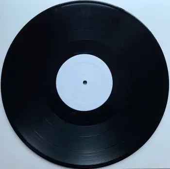 <u>PRESSING INFO</u><br><table class=inf_press><tbody><tr class=inf_info><td class=inf_title>Album:</td><td class=inf_info> Good Mourning (Test Press) on Black | Black (White Labels)  </td></tr>
    <td class=inf_title>Pressing:</td><td> Second Pressing /8  </td></tr>
    <td class=inf_title>Release Date:</td><td> Nov. 2008  </td></tr>
    <td class=inf_title>Album Pressed:</td><td> 2008  </td></tr>
    <td class=inf_title>Label:</td><td> Vagrant Records/Cobraside CSDLP1126  </td></tr>
    <td class=inf_title>Insert:</td><td> none  </td></tr>
    <td class=inf_title>Barcode:</td><td> 8 29707-95261 6  </td></tr>
    <td class=inf_title>Side A Matrix:</td><td> CSDLP 1126 A  </td></tr>
    <td class=inf_title>Side B Matrix:</td><td> CSDLP 1126 B  </td></tr>
    <td class=inf_title>Side C Matrix:</td><td> CSDLP 1126 C  </td></tr>
    <td class=inf_title>Side D Matrix:</td><td> CSDLP 1126 D  </td></tr>
    <td class=inf_title>&nbsp;</td><td> <a href=https://www.discogs.com/release/16501128 target=_blank rel=noopener noreferrer>View This Release on Discogs</a>  </tr></tbody></table>
    
    <u>NOTES</u><br> 2xLP, Plain white labels with 'Good Mourning' hand written on side A and side C. Plain white sleeves.
 - D