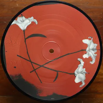 Vinyl Thumbnail