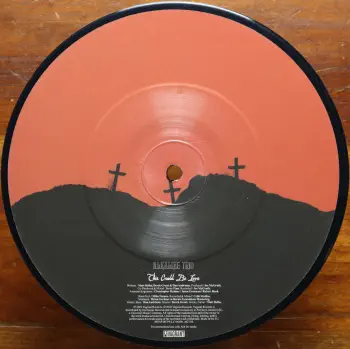 <u>PRESSING INFO</u><br><table class=inf_press><tbody><tr class=inf_info><td class=inf_title>Album:</td><td class=inf_info> This Could Be Love Picture Disc (UK Release) on This Could Be Love (Picture Disc)  </td></tr>
    <td class=inf_title>Pressing:</td><td> First Pressing /500  </td></tr>
    <td class=inf_title>Release Date:</td><td> Oct. 6th 2003  </td></tr>
    <td class=inf_title>Album Pressed:</td><td> 2003  </td></tr>
    <td class=inf_title>Label:</td><td> Vagrant/Polydor Limited AK31  </td></tr>
    <td class=inf_title>Insert:</td><td> none  </td></tr>
    <td class=inf_title>Barcode:</td><td> none  </td></tr>
    <td class=inf_title>Side A Matrix:</td><td> AK-31-1  </td></tr>
    <td class=inf_title>&nbsp;</td><td> <a href=https://www.discogs.com/release/2185477 target=_blank rel=noopener noreferrer>View This Release on Discogs</a>  </tr></tbody></table>
<br><u>PRICING</u><span class='less' style='padding-left: 8px; color: var(--font-colour_grey);'>(prices shown in USD)</span><br><table class='inf_press'><tbody><tr class='inf_info'>
            <td class='inf_title'>Last Sold:</td>
            <td>$19.99 (Jun 29, 2026)</td>
            </tr><tr class='inf_info'>
            <td class='inf_title'>History:</td>
            <td>
                <span class='price-low' title='£5.50 · Sold on Mar 25, 2024'>Low: <span class='price-value'>$7.32</span></span>
                <span class='price-separator'>|</span>
                <span class='price-avg'>Avg: <span class='price-value'>$14.05</span></span>
                <span class='price-separator'>|</span>
                <span class='price-high' title='Sold on Mar 30, 2022'>High: <span class='price-value'>$20.00</span></span>
            </td>
            </tr></tbody></table><br>    <br><br><u>TRACKLIST</u><br><table class='inf_tracks'><tbody><tr>
            <td class='inf_num'>A1</td>
            <td class='inf_trk'>This Could Be Love</td>
            <td class='inf_len'>3:47</td>
            <td><a href='#' class='lyric-link' data-album-code='singles' data-song-title='This Could Be Love'>Lyrics</a></td></tr><tr>
            <td class='inf_num'>B1</td>
            <td class='inf_trk'>none</td>
            <td class='inf_len'></td>
            <td></td></tr></tbody></table><br><br>
    <u>NOTES</u><br> Came in clear poly sleeve with hype sticker. Music is only on Side A, Side B is picture only. Marked For promotional use only. Not for resale.
 - B
