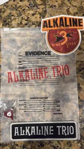 Evidence Bag