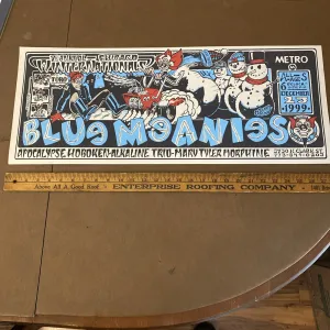 Blue Meanies 7th Wintenationals